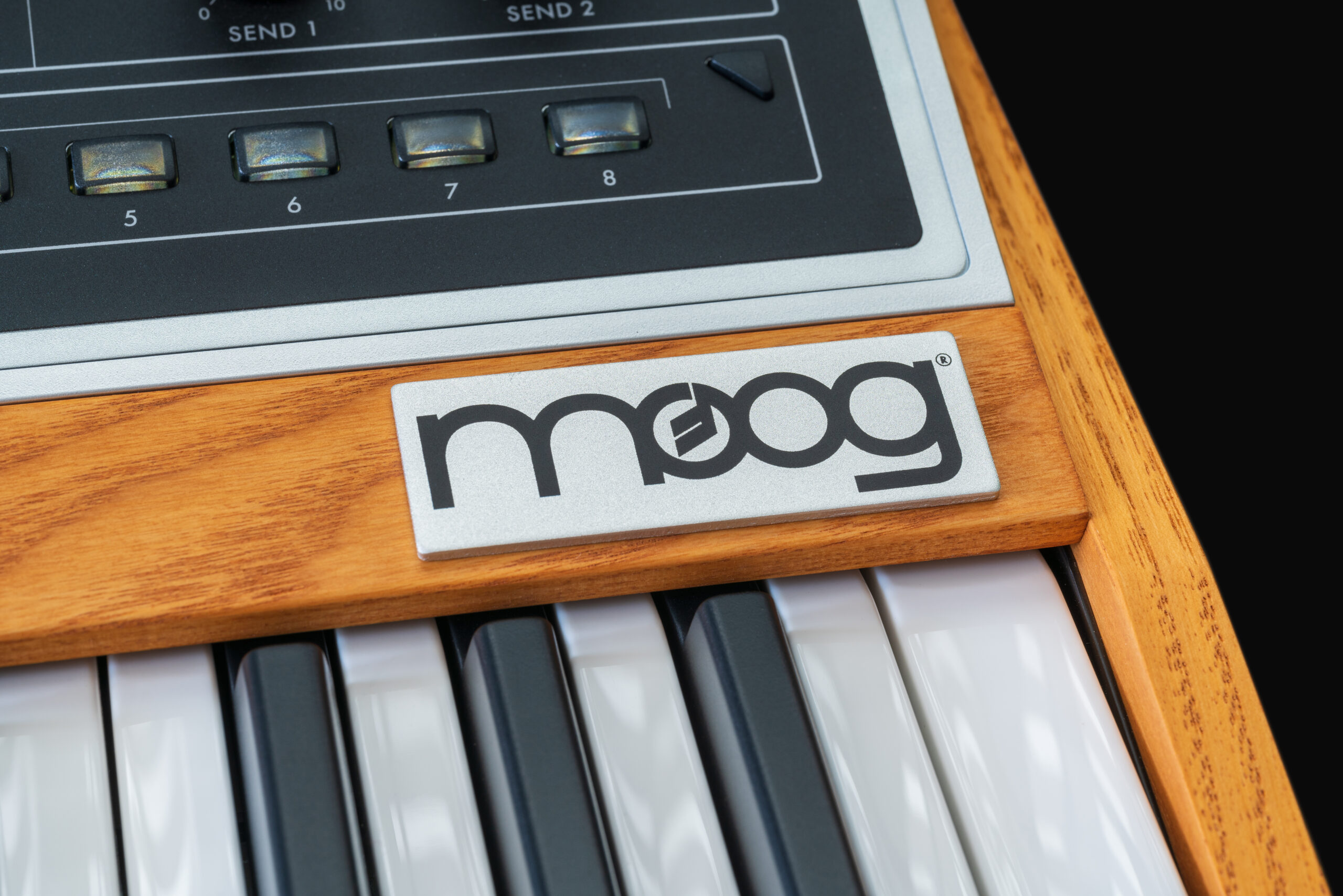 MOOGのアナログシンセキット WERKSTATT-01＋拡張ボード＋他 鍵盤楽器 